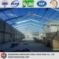 Extensão de Steel Frame Shed para Workshop de Porcessing